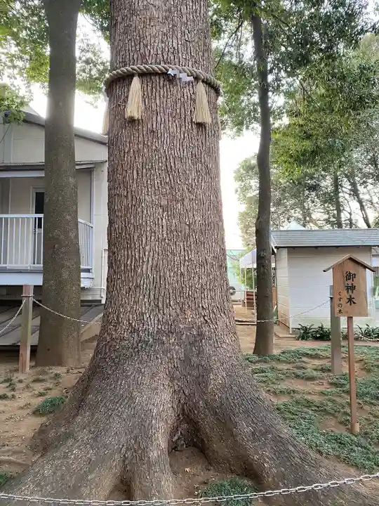 金ヶ作熊野神社の自然