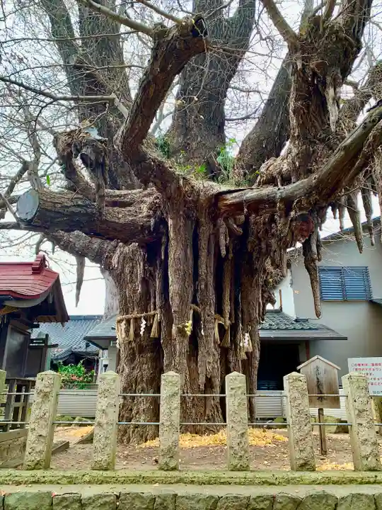 姥神神社(宮城県)