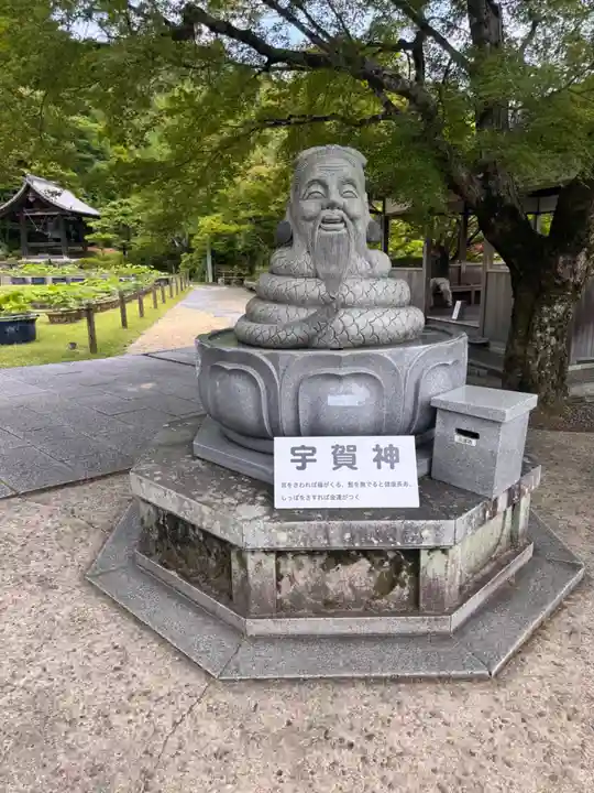 三室戸寺(京都府)
