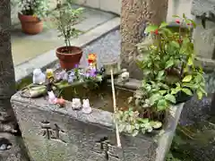 元祇園梛神社・隼神社(京都府)