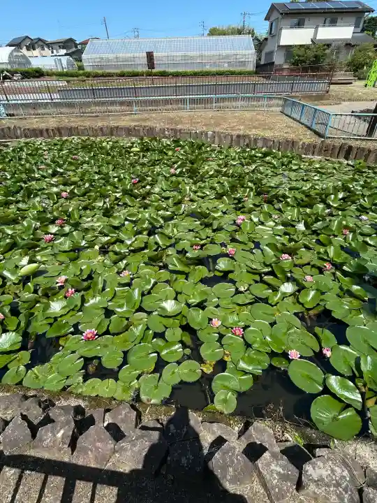 出世弁財天女宮(東京都)