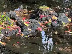 富士山本宮浅間大社(静岡県)