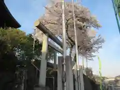 畑中神社の鳥居