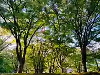 土津神社|こどもと出世の神さまの自然