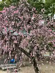 屯倉神社(大阪府)