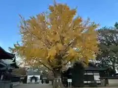 松原八幡神社(兵庫県)