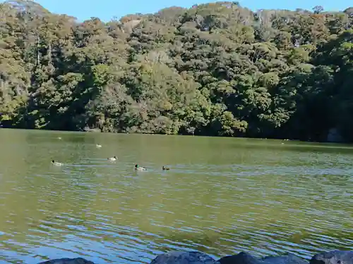 池宮神社の庭園