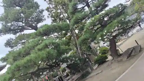 智恩寺(京都府)