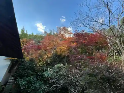 長法寺(京都府)