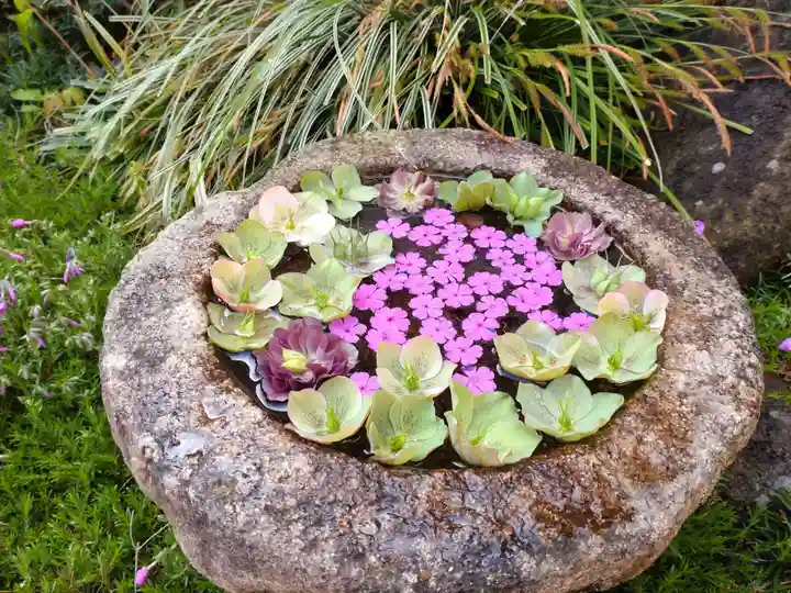 寿量山 速成寺の手水舎