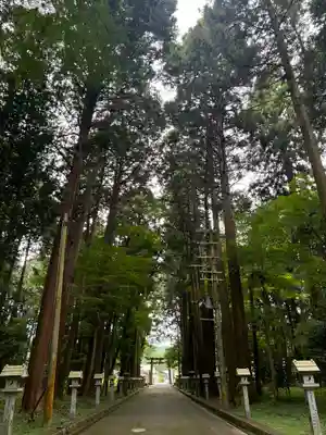 田村神社の自然