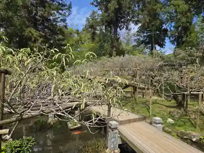 歌泉堂（春日大社神苑萬葉植物園内鎮座）(奈良県)