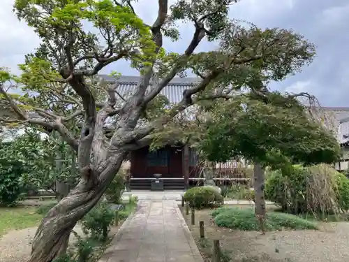 瑞雲寺(神奈川県)