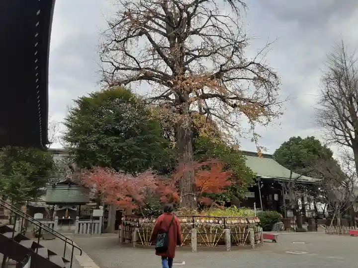 七社神社(東京都)