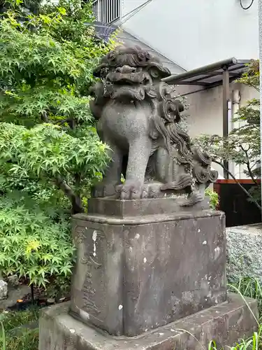 松戸神社の狛犬