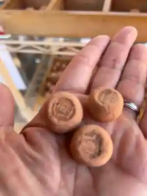 蛇窪神社(東京都)