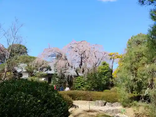 中院の庭園