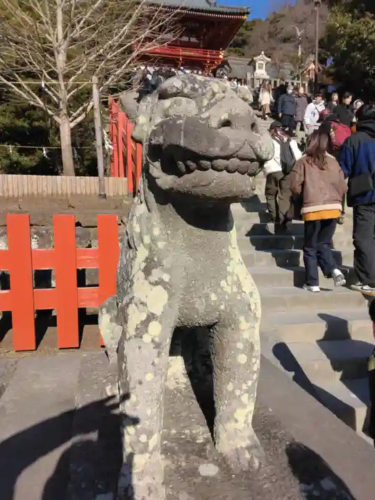 鶴岡八幡宮の狛犬