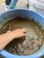 大鏑神社(福島県)