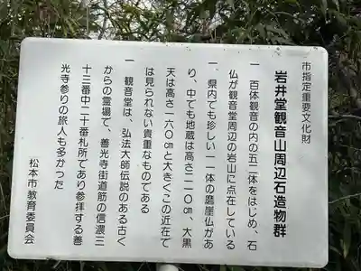 長安寺 岩井堂観音(長野県)