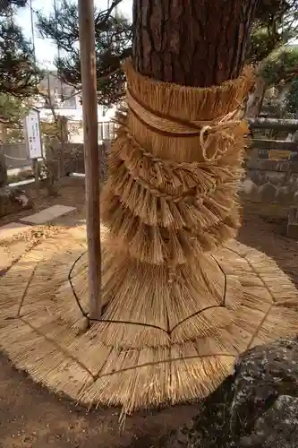 照光寺(長野県)