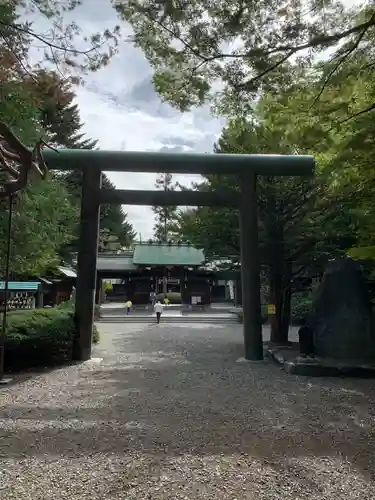 琴似神社の鳥居