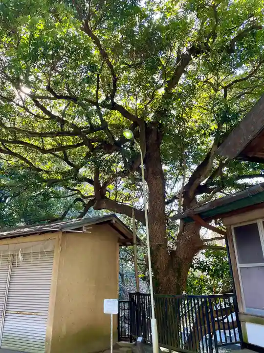 上野毛稲荷神社(東京都)