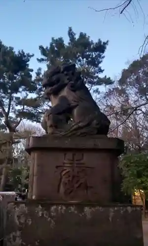 石神井氷川神社の狛犬