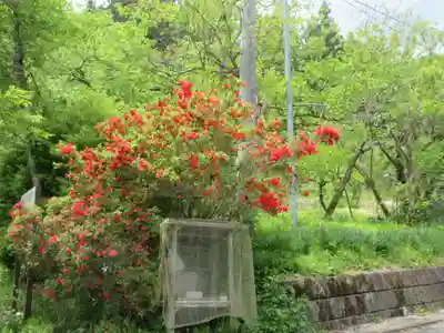 秩父札所三十二番　法性寺(埼玉県)