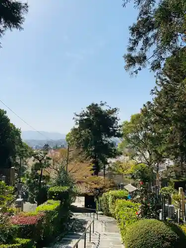 安養寺(京都府)