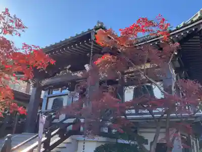 金剛寺(東京都)