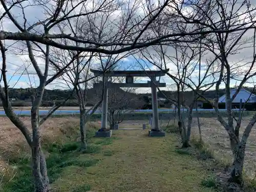 諏訪神社の鳥居