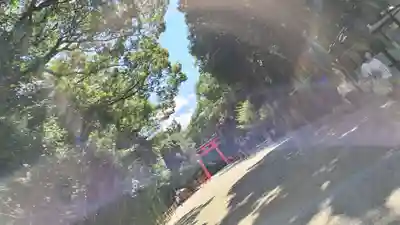 賀茂御祖神社（下鴨神社）(京都府)