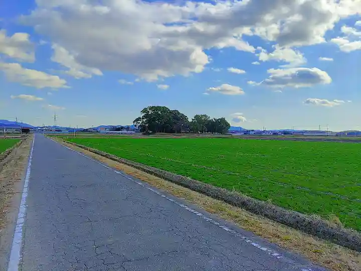 稲荷社(岩根稲荷社)の自然