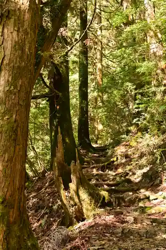 篠山神社(愛媛県)