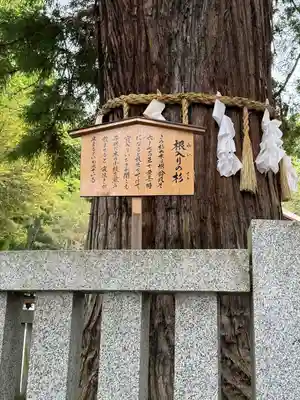 諏訪大社下社秋宮(長野県)