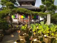 最勝寺の自然