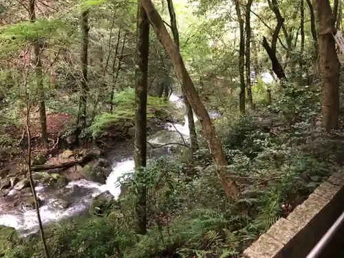 大本山七宝瀧寺の周辺