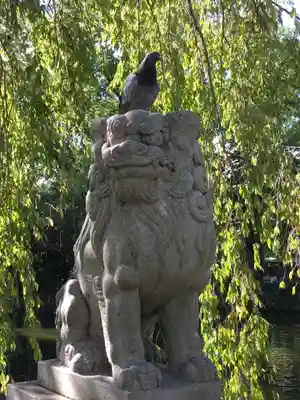 三嶋大社の狛犬