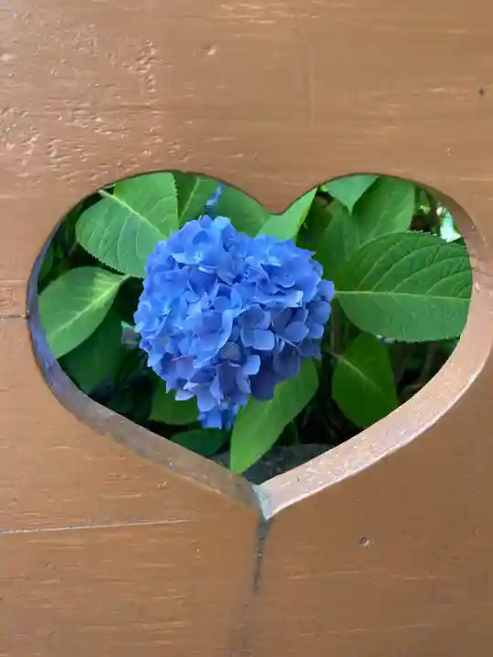 柳谷観音 楊谷寺の御朱印