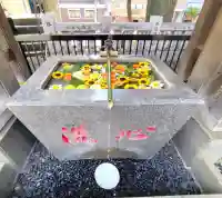 高円寺氷川神社(東京都)