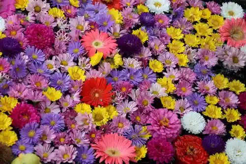 大鏑神社の手水舎
