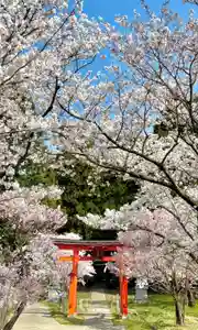 蚊里田八幡宮(長野県)(2025年04月17日(木) 10時01分33秒投稿)