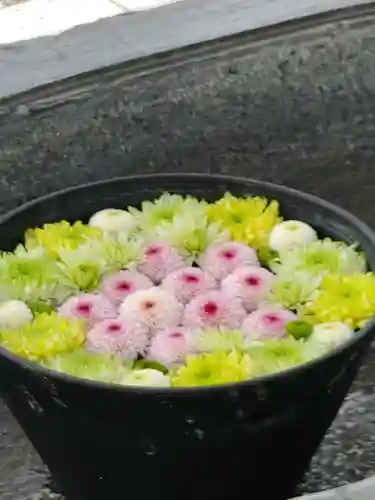 鹿島台神社の手水舎