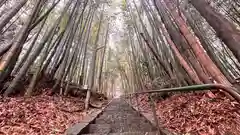 加茂新明神社(兵庫県)