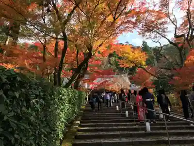 禅林寺(永観堂)のその他建物