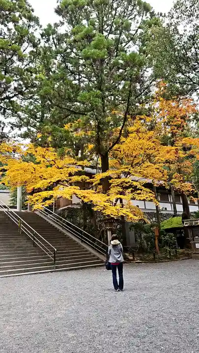 大神神社(奈良県)
