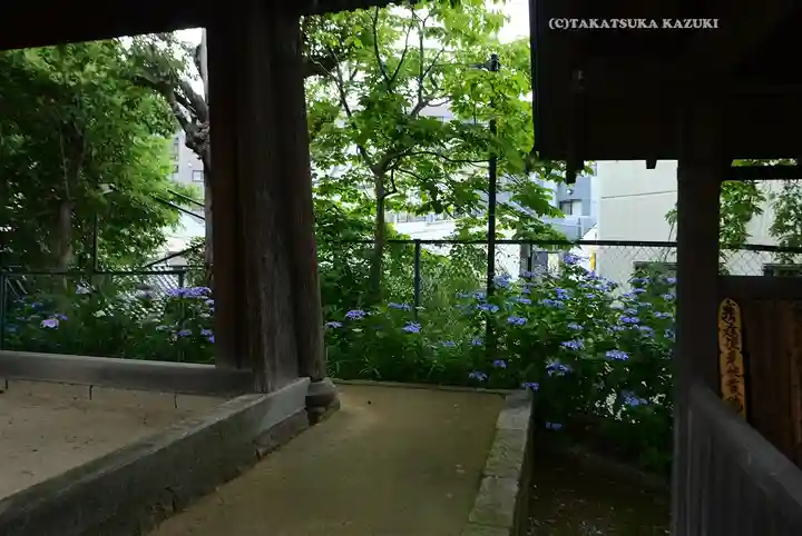 弘明寺(神奈川県)