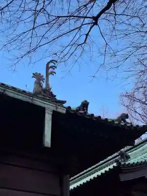 湯島聖堂の狛犬