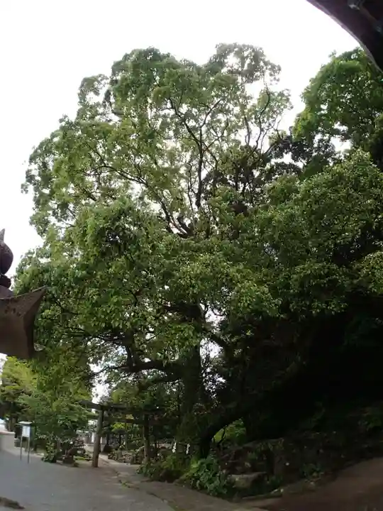 立磐神社のその他建物